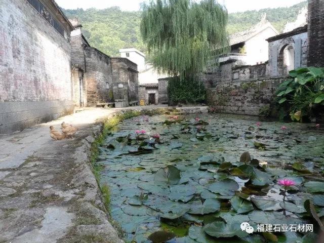 走進(jìn)封開礦區(qū)，看封開花“花開正好”——文哥走產(chǎn)區(qū)