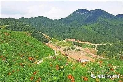 從“要我建”到“我要建”——160個(gè)綠色礦山在廣東落地開花