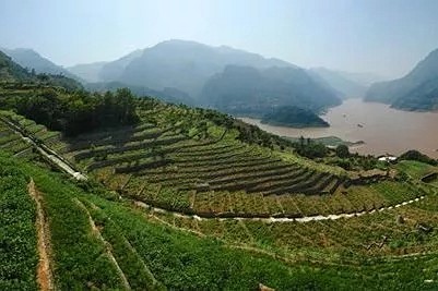 308座礦山獲1.8億元專項(xiàng)資金，湖南為石材企業(yè)減輕財(cái)務(wù)負(fù)擔(dān)