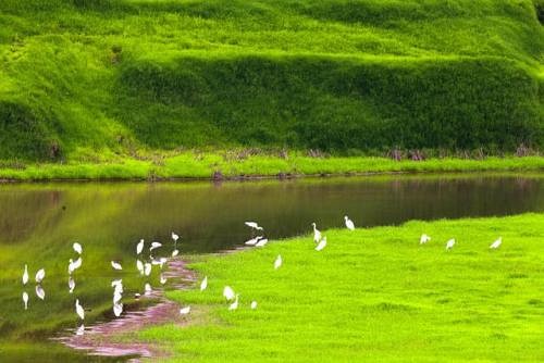 新一輪中央生態(tài)環(huán)保督察啟動(dòng)在即 5個(gè)“緊緊盯住”是著眼點(diǎn)