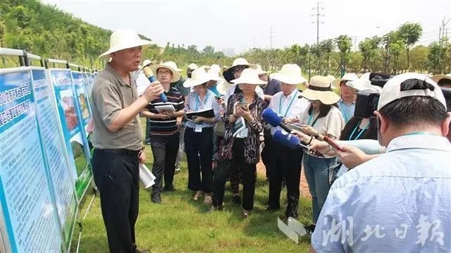 湖北省完成礦山生態(tài)修復(fù)976個 治理恢復(fù)面積5.26萬畝