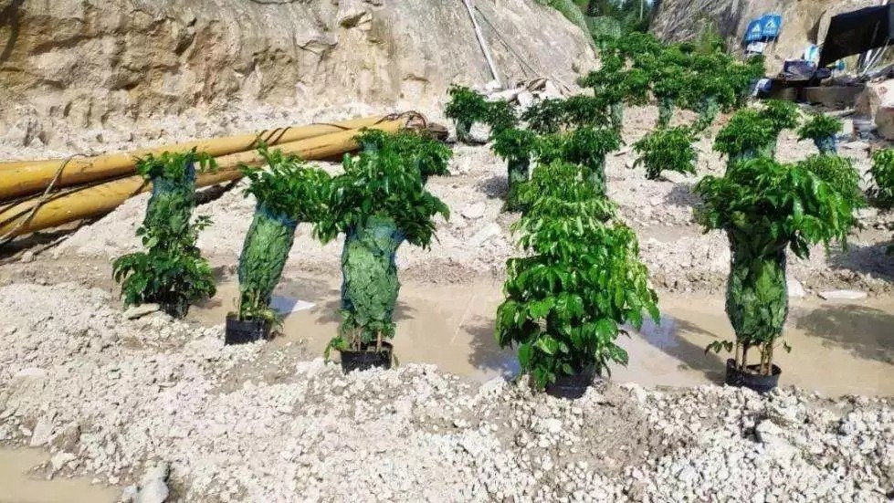 中央環(huán)保督察組：通報福建漳浦礦山開采問題，要求依法處理