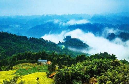 全國礦山生態(tài)修復(fù)新機制新技術(shù)交流推廣會召開