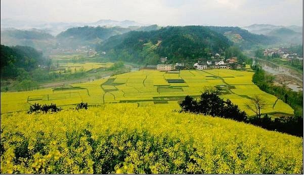 湖南開(kāi)展長(zhǎng)江經(jīng)濟(jì)帶廢棄露天礦山生態(tài)修復(fù)