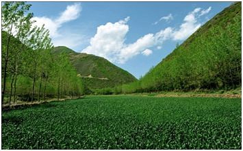 湖北省啟動(dòng)全國(guó)綠色礦山遴選