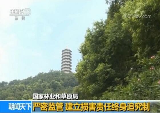 國家林業(yè)和草原局：升級(jí)天然林保護(hù) 守住綠水青山