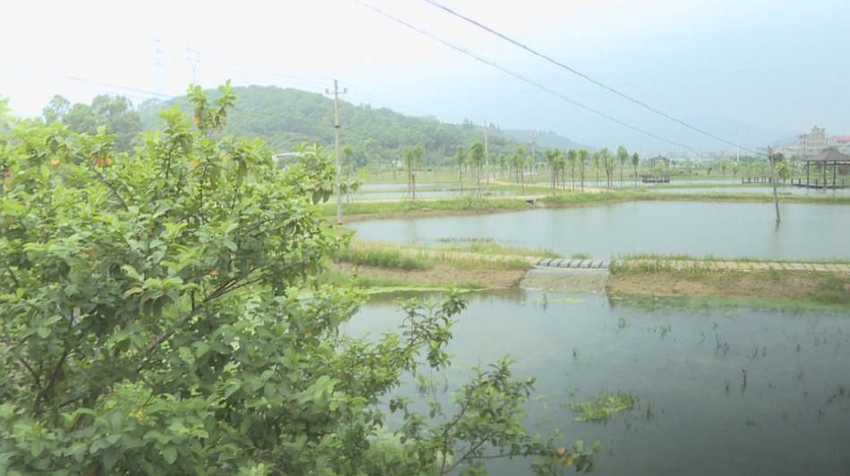 泉港投入7000萬元 助推“綠色礦山”生態(tài)修復(fù)