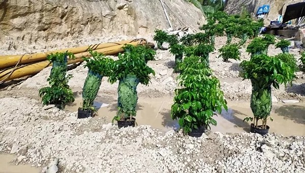 福建漳浦無證（石材）礦山已全面關(guān)停，拘留21人，漳浦事件促進(jìn)福建省開展為期半年的打擊非法違法采礦