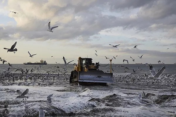 新研究：2050年全球約3億人將受海平面上升影響