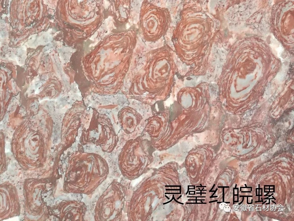 安徽省石材協(xié)會向合肥市重點工程推薦安徽優(yōu)質(zhì)石材產(chǎn)品