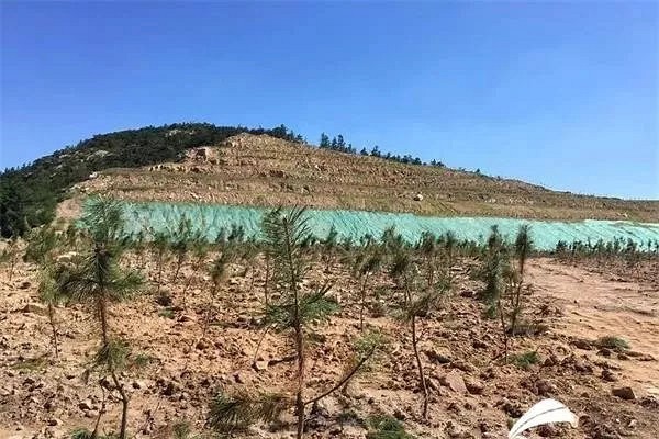 山東榮成：鐵腕修復礦山，80%采石礦山被關(guān)閉，到2025年，關(guān)停治理的礦山將全部恢復生態(tài)