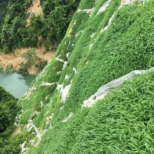 河南廢棄礦山復(fù)綠記