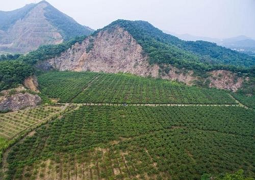 湖南出臺綠色礦山建設三年行動方案
