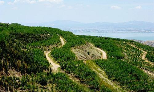岑溪市：以點帶面推進(jìn)綠色礦山建設(shè)