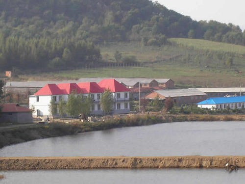 吉林柳河縣縣委書記陳旭升調(diào)研部分礦山企業(yè)
