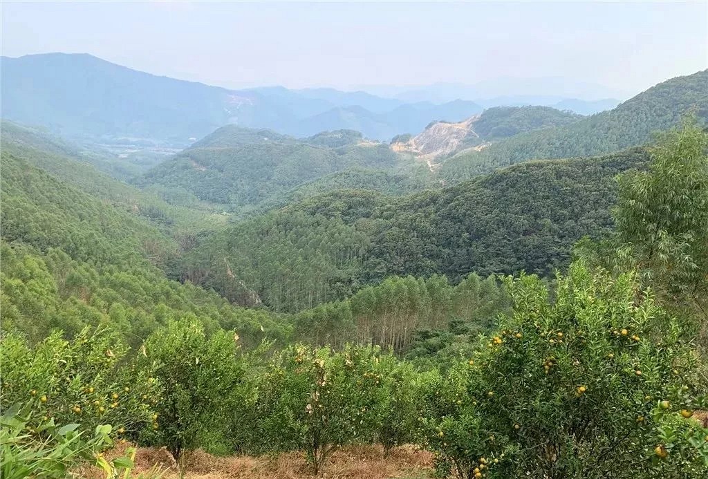 起拍價9.6億，儲量1.66億m3！又一超級花崗巖礦權(quán)即將問世