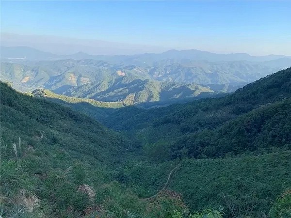總支出達65.42億元！惠州交投葛埔綠色現(xiàn)代石場拿下龍門花崗巖采礦權(quán)