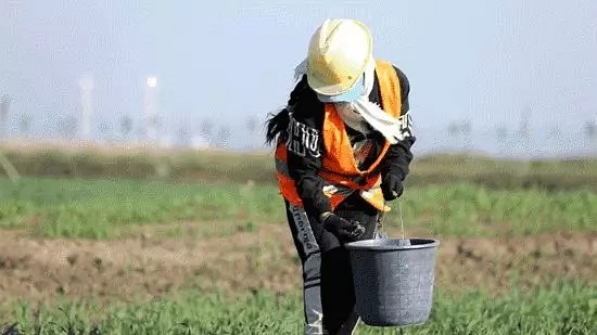 定了！2025年內(nèi)蒙古全部礦山要達到綠色礦山標(biāo)準(zhǔn)！