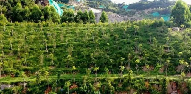 漳浦問題礦山生態(tài)圓滿修復(fù)，全縣石材企升級27家企業(yè)復(fù)電復(fù)產(chǎn)，獲中國環(huán)境報點贊！