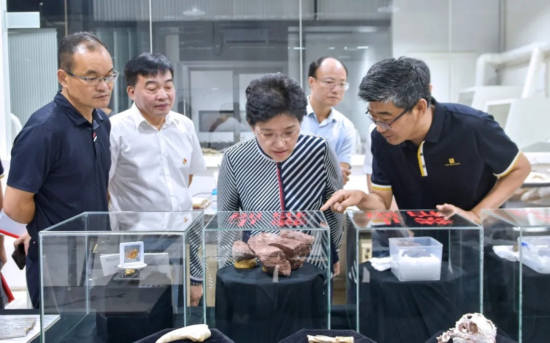 福建省委常委、宣傳部部長邢善萍一行蒞臨英良集團(tuán)參觀考察