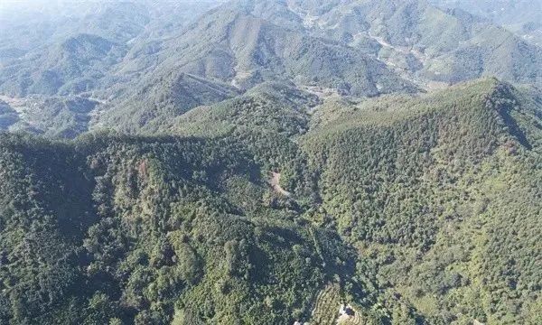 78.5億！中電建底價(jià)競(jìng)得云浮郁南縣桂圩鎮(zhèn)沖旺嶺儲(chǔ)量超5億方、年產(chǎn)2000萬(wàn)方礦區(qū)