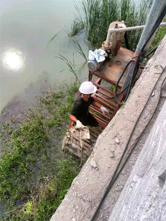 麻城石材人的綠色接力——麻溪河“清河行動(dòng)”守護(hù)碧水