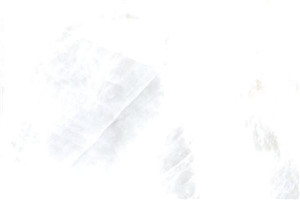 冰雪原玉