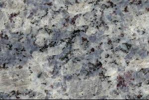 紫點(diǎn)藍(lán)鉆(大花)