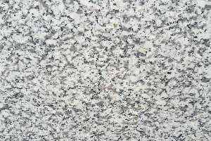 天崗白