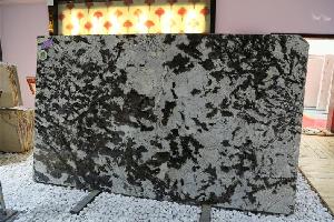 雪山銀狐大板