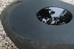 海南黑異型