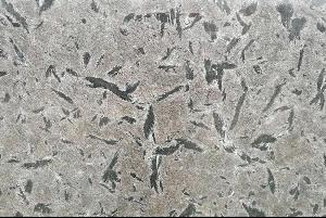 范思哲黑