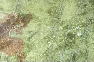 丹東岫玉