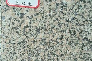 泌陽(yáng)紅燒面