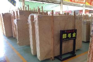 鵝毛金