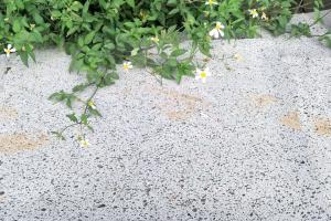湛江火山巖黑洞石 玄武巖青石板 仿古石 園林廣場鋪路石