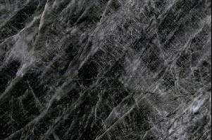 雪山銀狐