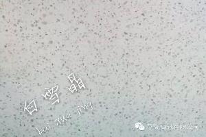 白雪晶