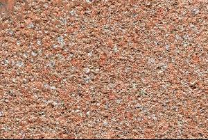 高源紅8號荔枝面A