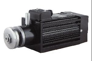 YCSA80 YCSA系列精密開榫電機(jī)