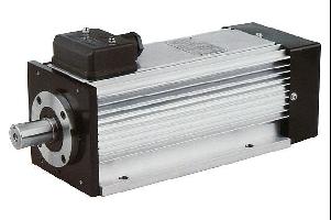 YEC80 YEC系列超功率電機(jī)