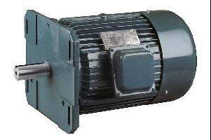 YFG系列方蓋電機(jī)