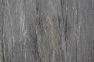 金絲銀灰