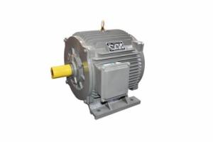 礦山鋸皮帶聯(lián)接電機(jī)