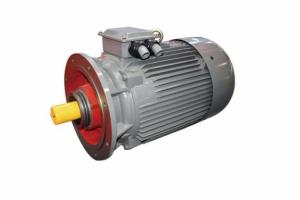 礦山鋸直聯(lián)電機