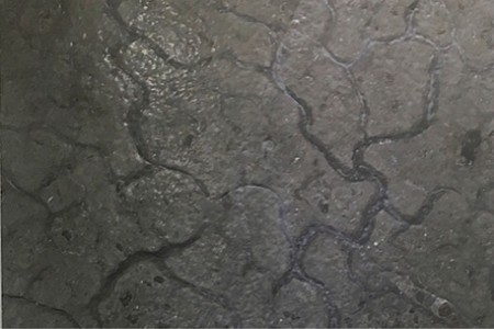 中國黑(仿古面1號)