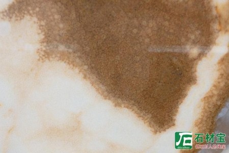 金藍玉