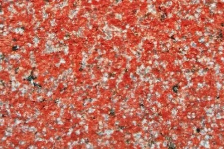 滎經(jīng)紅荔枝面