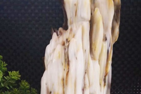 樹化玉