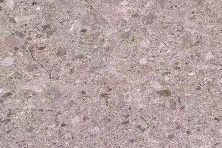 沙灘玫瑰